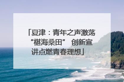 夏津：青年之声激荡“椹海桑田” 创新宣讲点燃青春理想