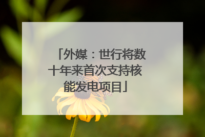 外媒：世行将数十年来首次支持核能发电项目