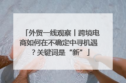 外贸一线观察丨跨境电商如何在不确定中寻机遇？关键词是“新”