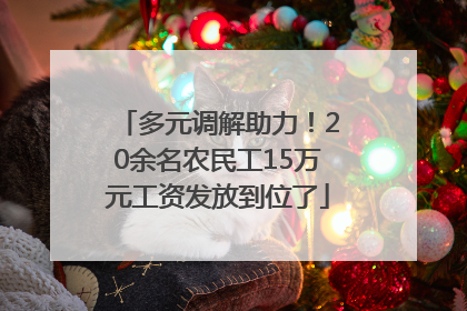 多元调解助力！20余名农民工15万元工资发放到位了
