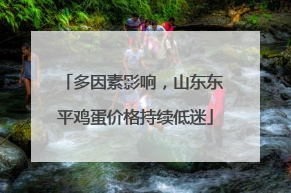 多因素影响，山东东平鸡蛋价格持续低迷