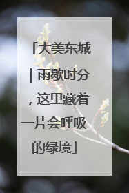 大美东城｜雨歇时分，这里藏着一片会呼吸的绿境
