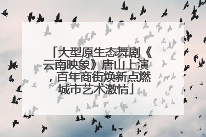 大型原生态舞剧《云南映象》唐山上演，百年商街焕新点燃城市艺术激情