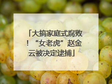 大搞家庭式腐败！“女老虎”赵金云被决定逮捕