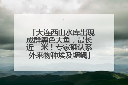大连西山水库出现成群黑色大鱼，最长近一米！专家确认系外来物种埃及塘鲺