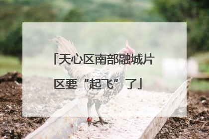 天心区南部融城片区要“起飞”了