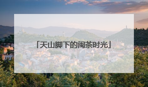 天山脚下的闽茶时光