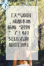 天气原因，成都本地杨梅“迟到”了！6月5日左右迎最佳口感