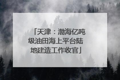 天津：渤海亿吨级油田海上平台陆地建造工作收官