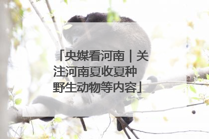 央媒看河南｜关注河南夏收夏种 野生动物等内容