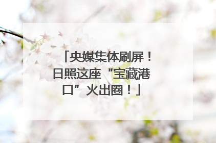 央媒集体刷屏！日照这座“宝藏港口”火出圈！