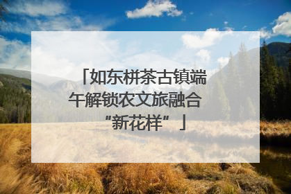 如东栟茶古镇端午解锁农文旅融合“新花样”
