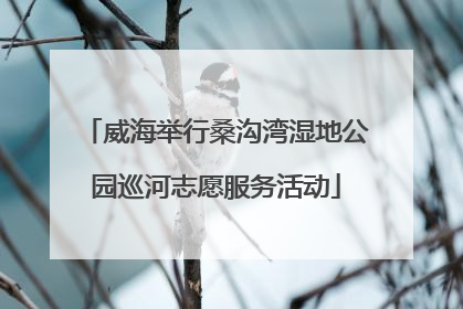 威海举行桑沟湾湿地公园巡河志愿服务活动