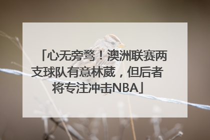 心无旁骛！澳洲联赛两支球队有意林葳，但后者将专注冲击NBA