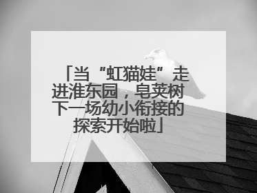 当“虹猫娃”走进淮东园，皂荚树下一场幼小衔接的探索开始啦