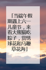 当端午假期遇上六一儿童节，来看大熊猫吃粽子，赏绣球花和马鞭草花海