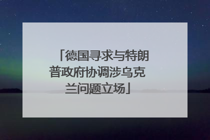 德国寻求与特朗普政府协调涉乌克兰问题立场
