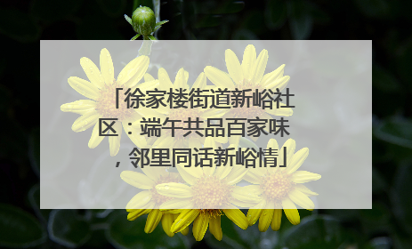 徐家楼街道新峪社区：端午共品百家味，邻里同话新峪情