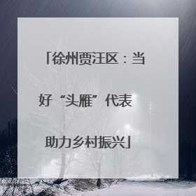 徐州贾汪区：当好“头雁”代表 助力乡村振兴