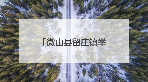 微山县留庄镇举办专场招聘会
