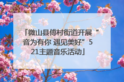 微山县傅村街道开展“音为有你 遇见美好”521主题音乐活动