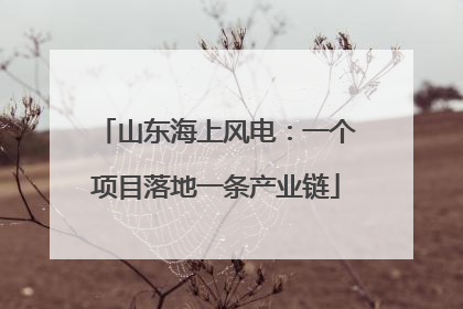 山东海上风电：一个项目落地一条产业链