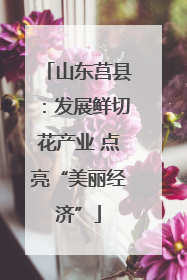 山东莒县：发展鲜切花产业 点亮“美丽经济”