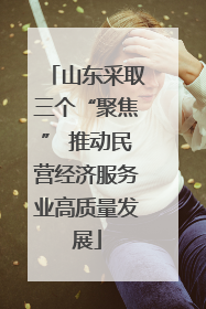 山东采取三个“聚焦” 推动民营经济服务业高质量发展