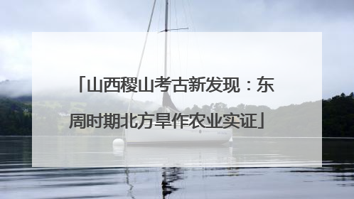 山西稷山考古新发现：东周时期北方旱作农业实证