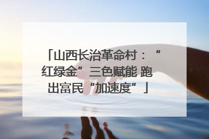山西长治革命村：“红绿金”三色赋能 跑出富民“加速度”