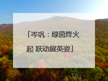 岑巩：绿茵烽火起 跃动展英姿