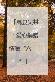 嵩县吴村：爱心捐赠情暖“六一”
