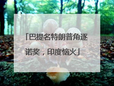 巴提名特朗普角逐诺奖，印度恼火