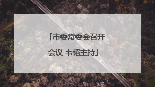 市委常委会召开会议 韦韬主持