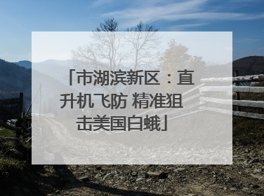市湖滨新区：直升机飞防 精准狙击美国白蛾