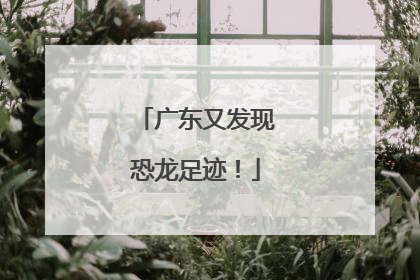 广东又发现恐龙足迹！