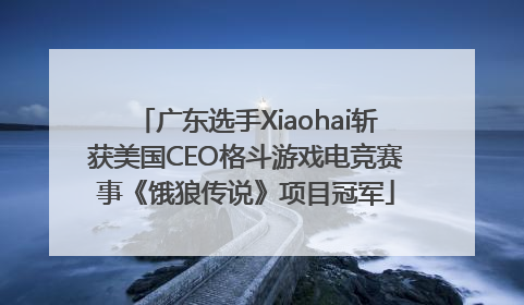 广东选手Xiaohai斩获美国CEO格斗游戏电竞赛事《饿狼传说》项目冠军