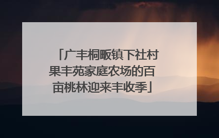 广丰桐畈镇下社村果丰苑家庭农场的百亩桃林迎来丰收季