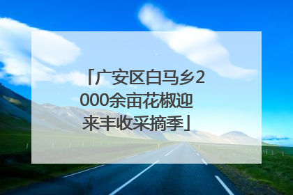 广安区白马乡2000余亩花椒迎来丰收采摘季