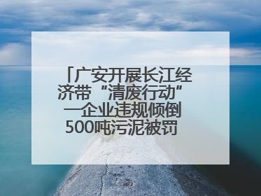 广安开展长江经济带“清废行动” 一企业违规倾倒500吨污泥被罚8万元