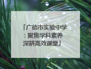 广德市实验中学：聚焦学科素养 深耕高效课堂