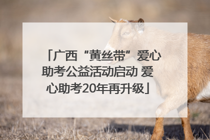 广西“黄丝带”爱心助考公益活动启动 爱心助考20年再升级