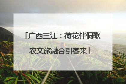 广西三江：荷花伴侗歌 农文旅融合引客来