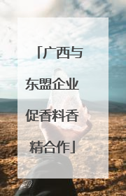 广西与东盟企业促香料香精合作