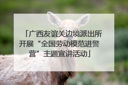 广西友谊关边境派出所开展“全国劳动模范进警营”主题宣讲活动