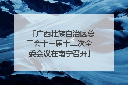 广西壮族自治区总工会十三届十二次全委会议在南宁召开