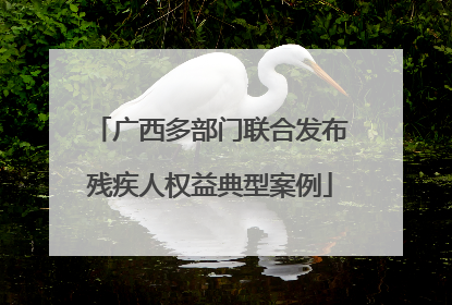广西多部门联合发布残疾人权益典型案例