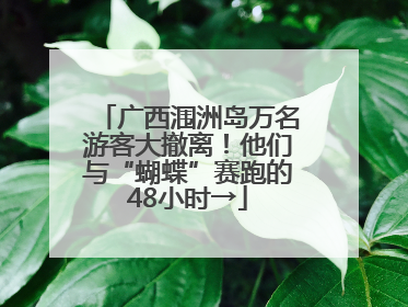 广西涠洲岛万名游客大撤离！他们与“蝴蝶”赛跑的48小时→