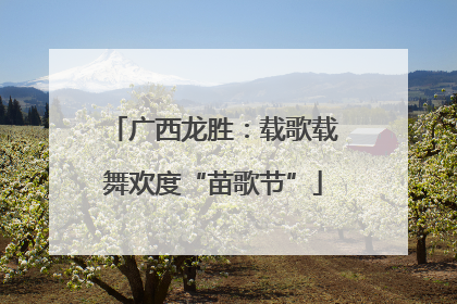 广西龙胜：载歌载舞欢度“苗歌节”