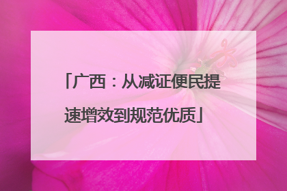 广西：从减证便民提速增效到规范优质